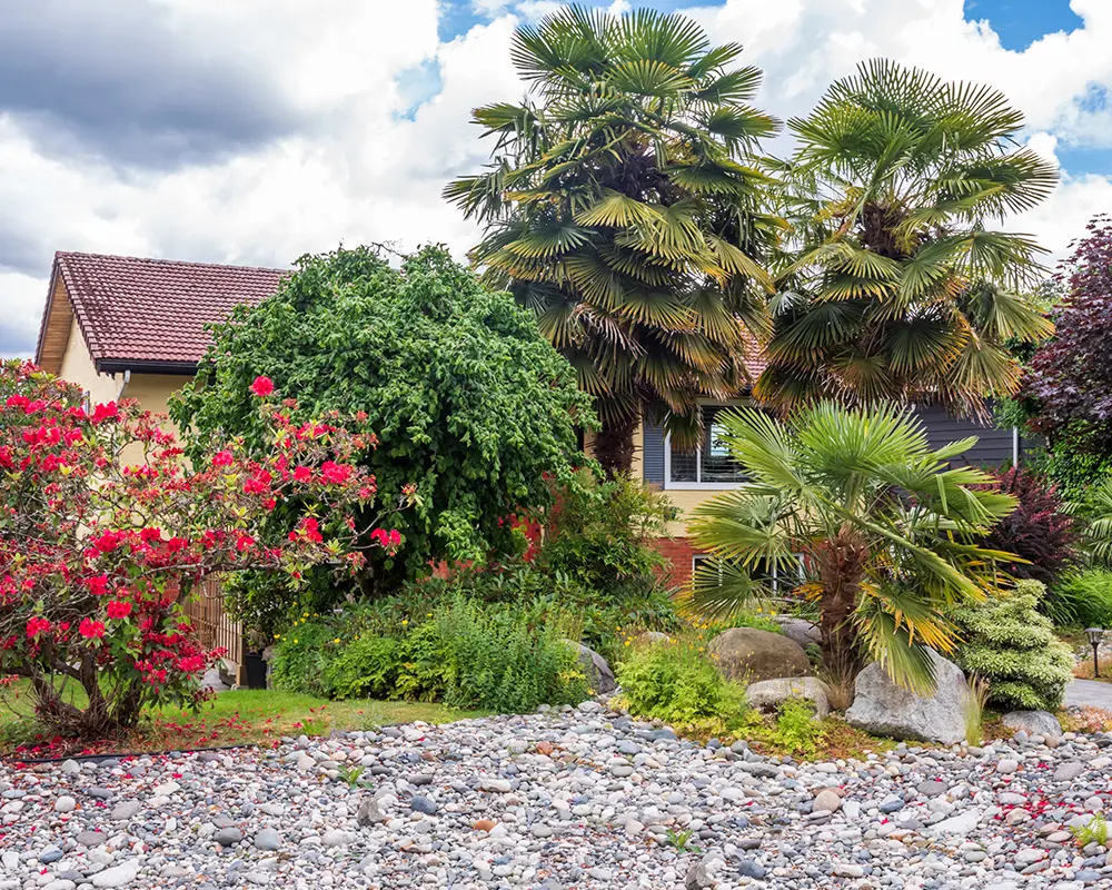 The Benefits of Native Plant Landscaping in Florida